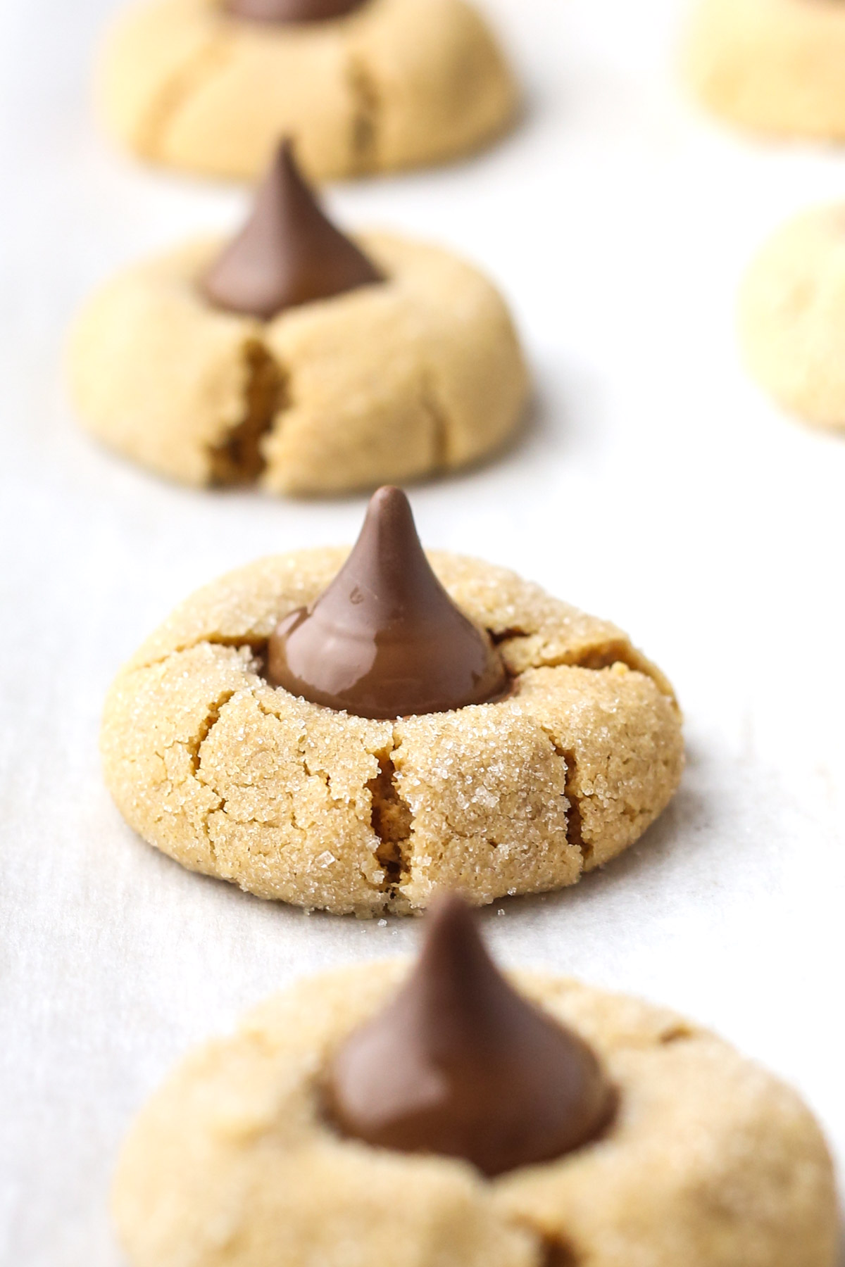 freshly baked 3-ingredient peanut butter blossoms with hershey kisses in the center of the cookies. The cookies are on the baking tray.